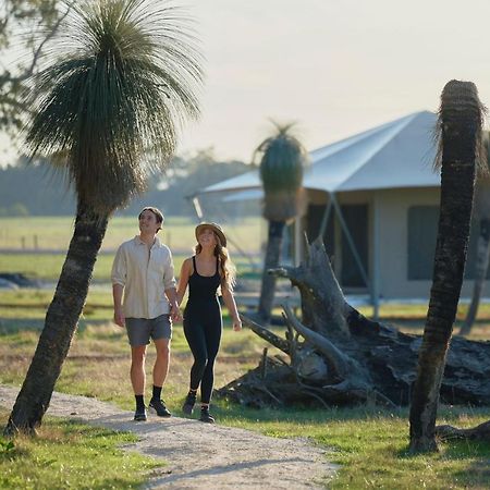 Willow Wood Glamping Retreat Broadwater Kültér fotó