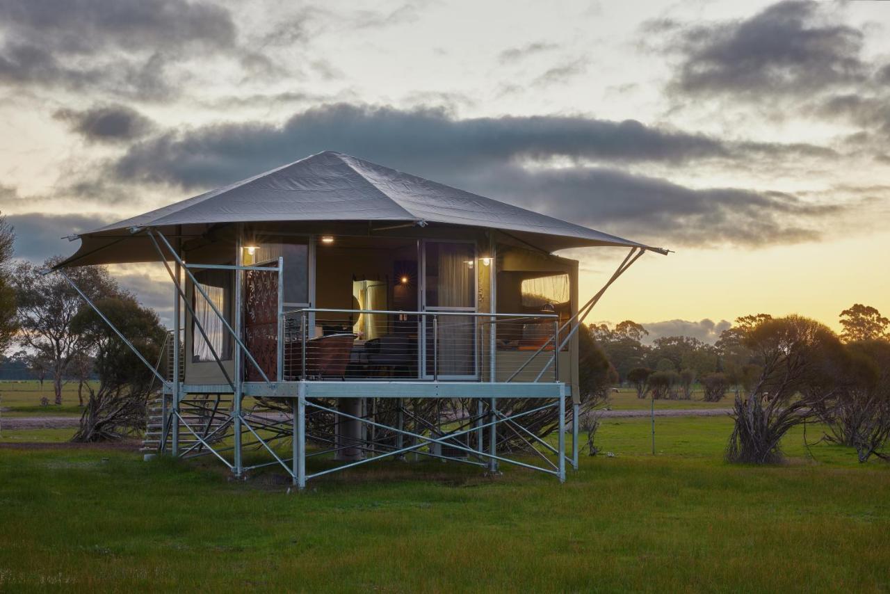 Willow Wood Glamping Retreat Broadwater Kültér fotó